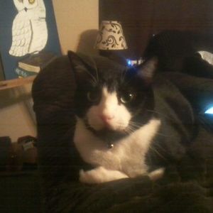 Meet your Posher, Rebecca